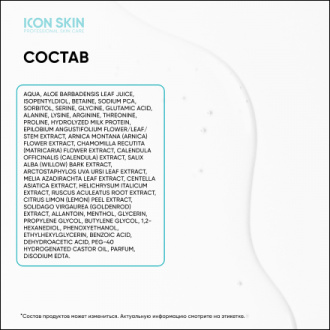 Icon Skin, Тоник для лица Herbal Power, 150 мл
