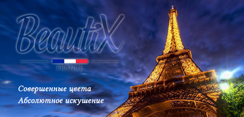 История и деятельность компании Beautix