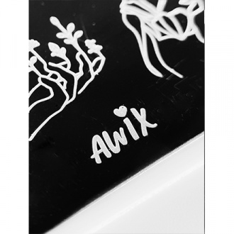 AWIX Professional, Пластина для стемпинга №089