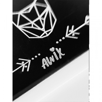 AWIX Professional, Пластина для стемпинга №108