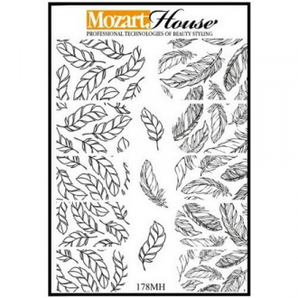 Mozart House, Слайдер-дизайн №W178